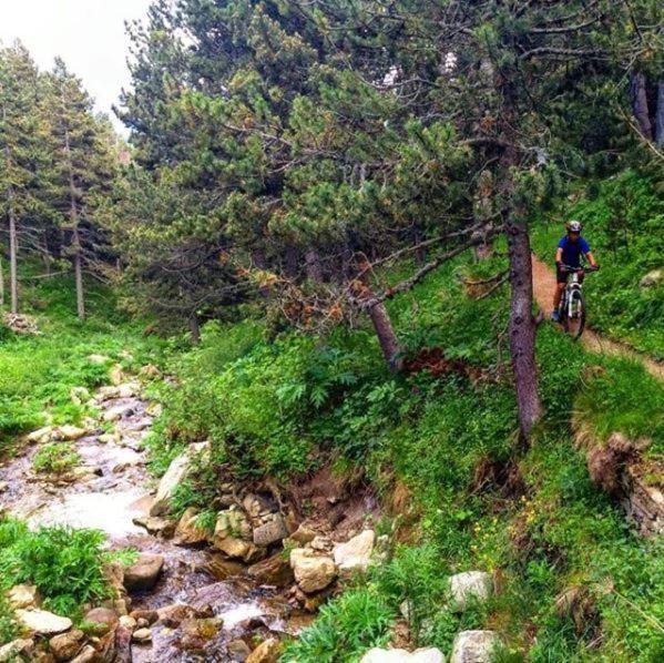 La Pradella Bolquere Pyrenees 2000 Apartment Ngoại thất bức ảnh